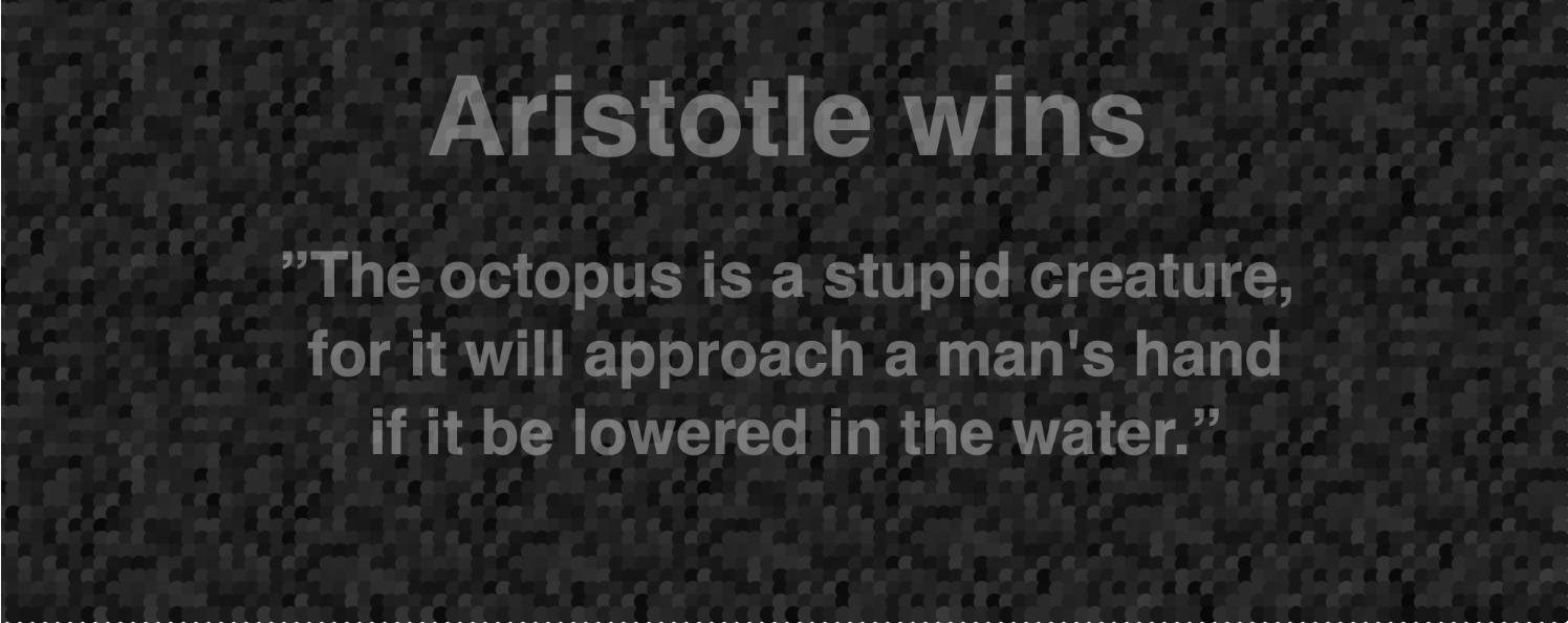 Next, I added some other basic properties of badminton(a net, a floor, two players facing opposite directions).Finally, I added a jump fu...