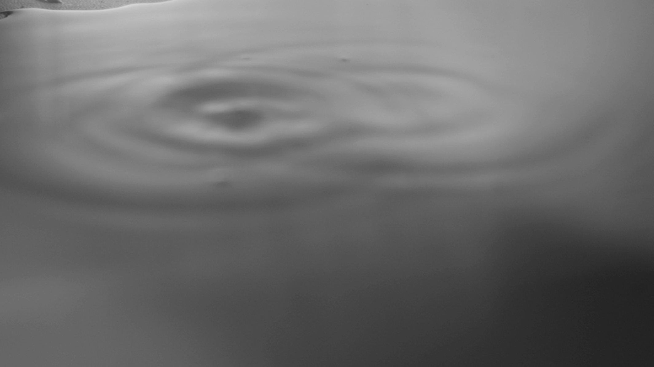 A fun fact about the last image in this collection of 36 images is that it was made by flooding my desk to create a pool of water.